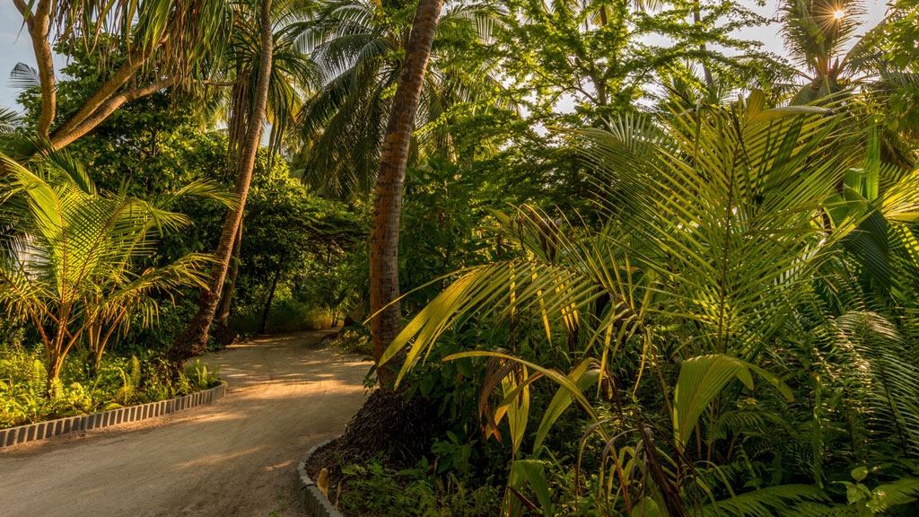 Garden - Fiyavalhu Resort Maldives