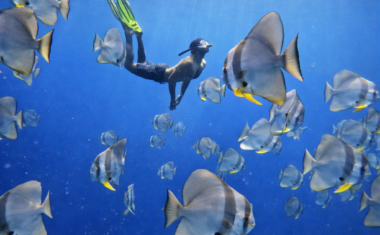 Snorkelling at Fiyavalhu Maldives
